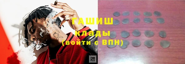 индика Алзамай