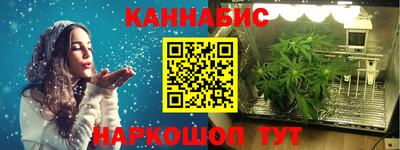 прущие грибы Камышлов