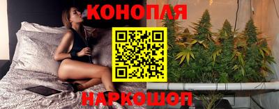сатива Кандалакша