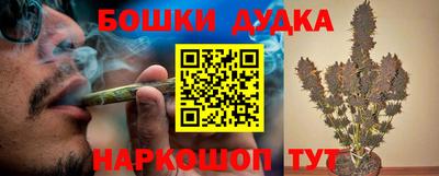 шишки Канаш