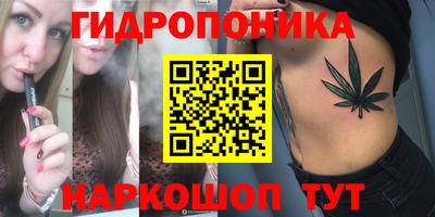 прущие грибы Камышлов