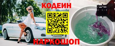 прущие грибы Камышлов